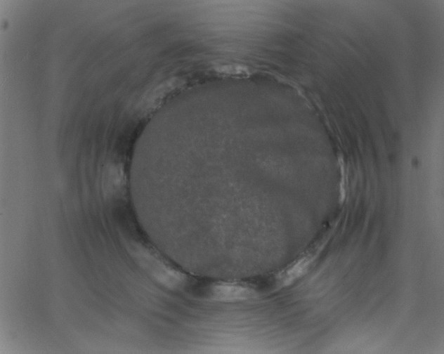 X0000067910614200604271919