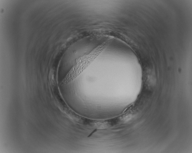 X0000067910615200604271919