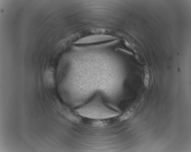 X0000067910616200604271919