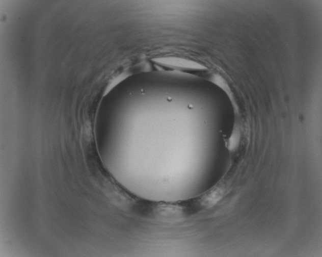 X0000067910617200604271919