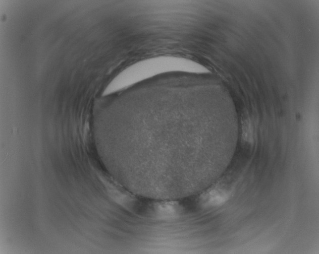 X0000067910618200604271919