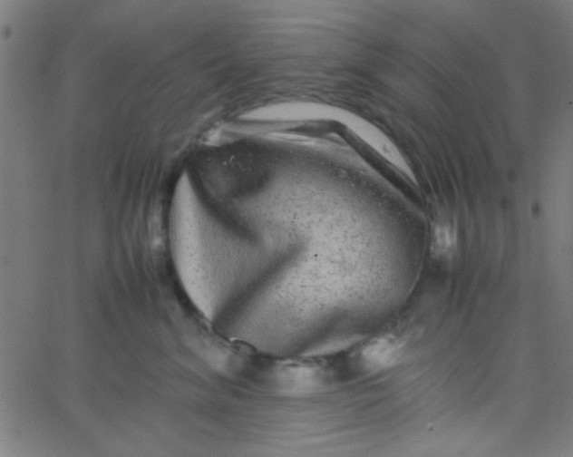 X0000067910620200604271919