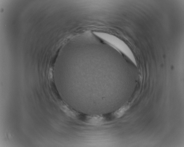 X0000067910621200604271919