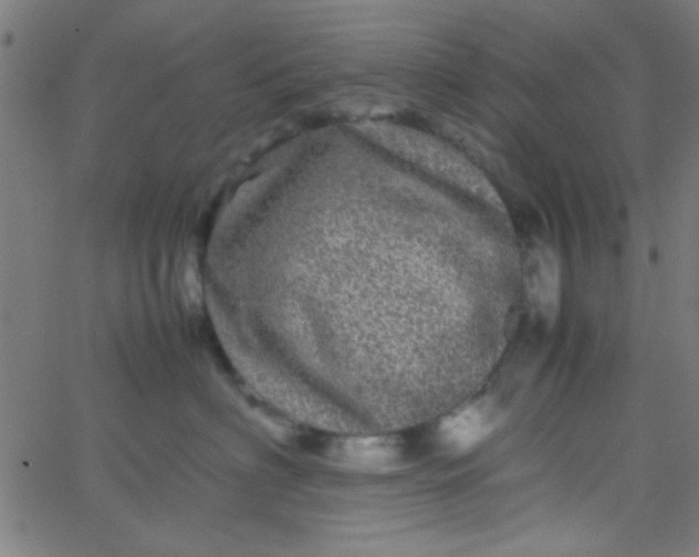 X0000067910622200604271919