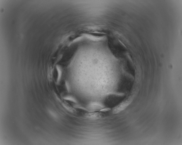 X0000067910624200604271919