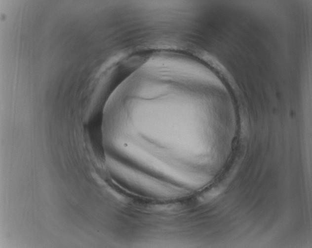 X0000067910625200604271918