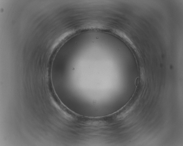 X0000067910629200604271918