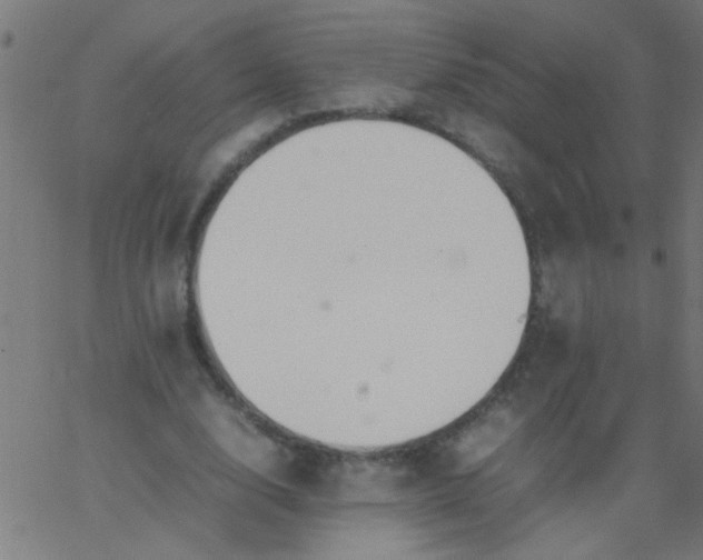 X0000067910632200604271918