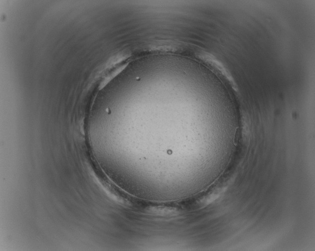 X0000067910633200604271918