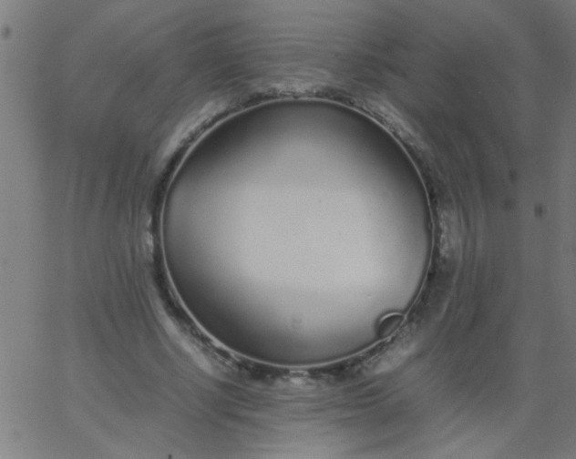 X0000067910634200604271918