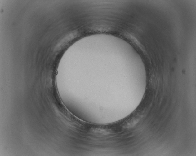 X0000067910635200604271918