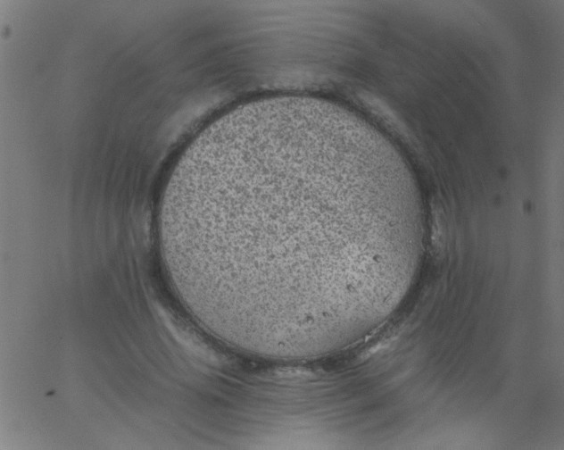 X0000067910636200604271918