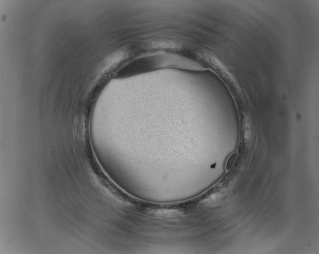 X0000067910637200604271919