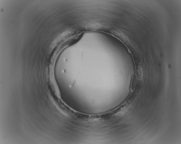 X0000067910638200604271919