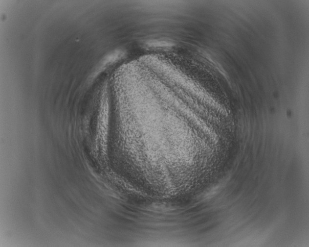 X0000067910641200604271919