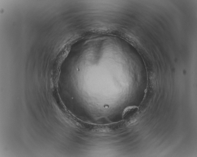 X0000067910642200604271919