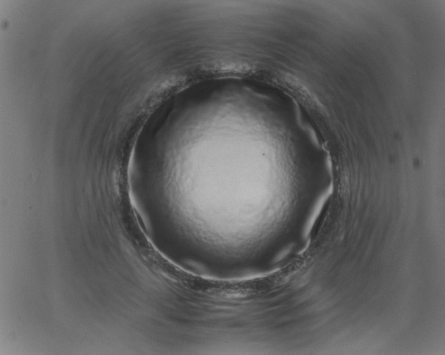 X0000067910643200604271919