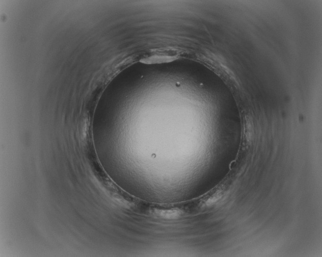 X0000067910645200604271919