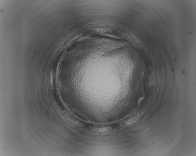 X0000067910646200604271919