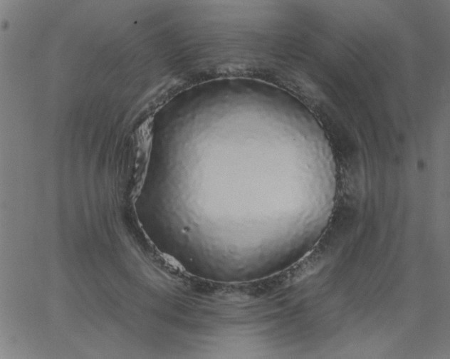 X0000067910648200604271919