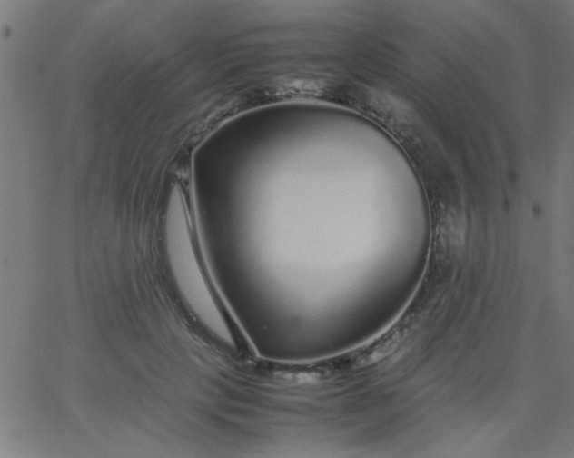 X0000067910649200604271919