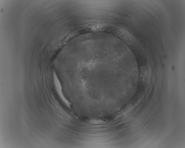 X0000067910650200604271919