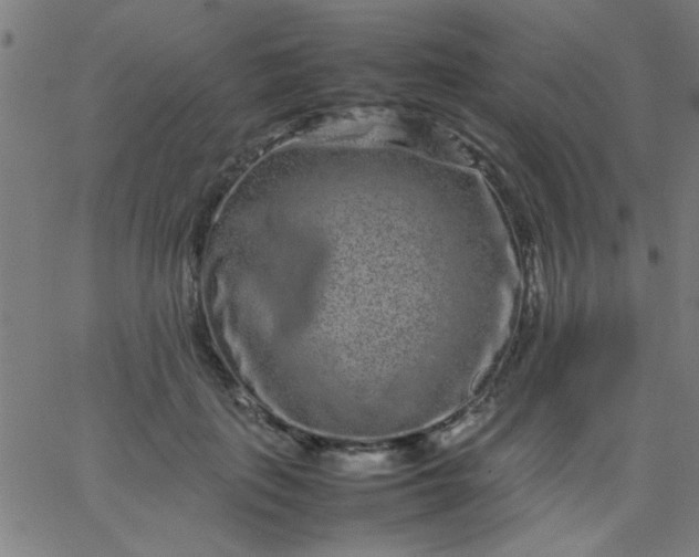 X0000067910651200604271919