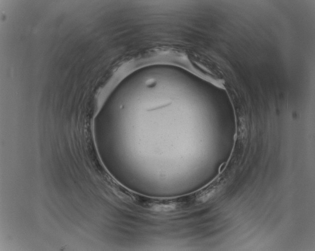 X0000067910653200604271919