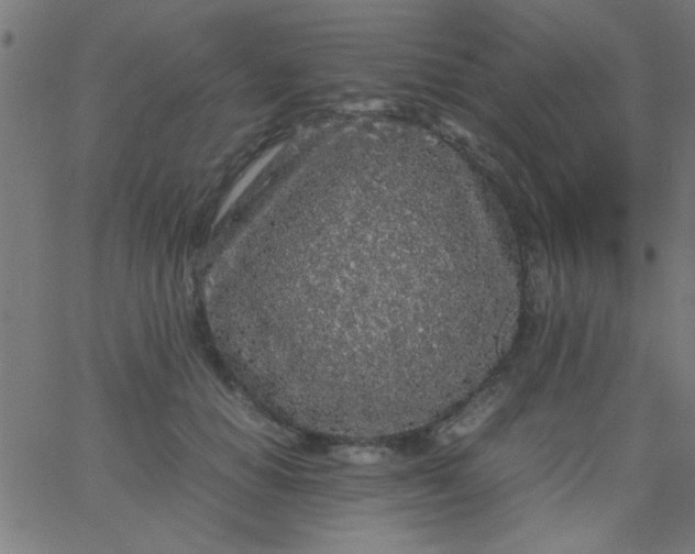 X0000067910654200604271919