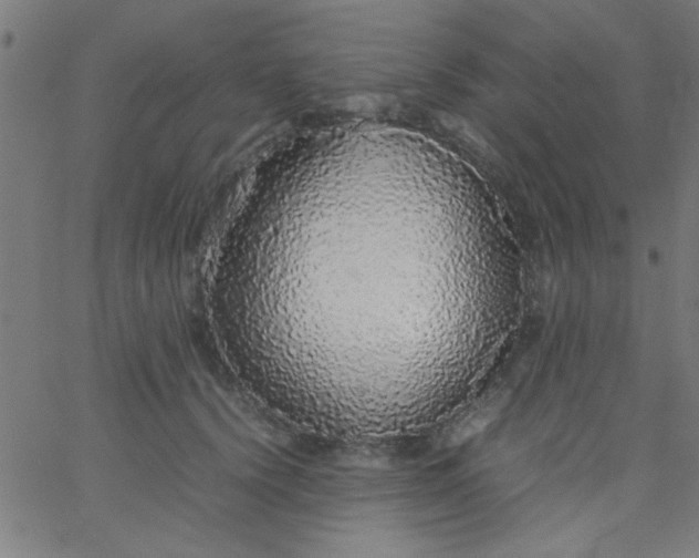 X0000067910656200604271919