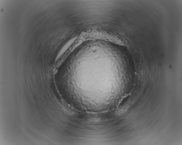 X0000067910658200604271919