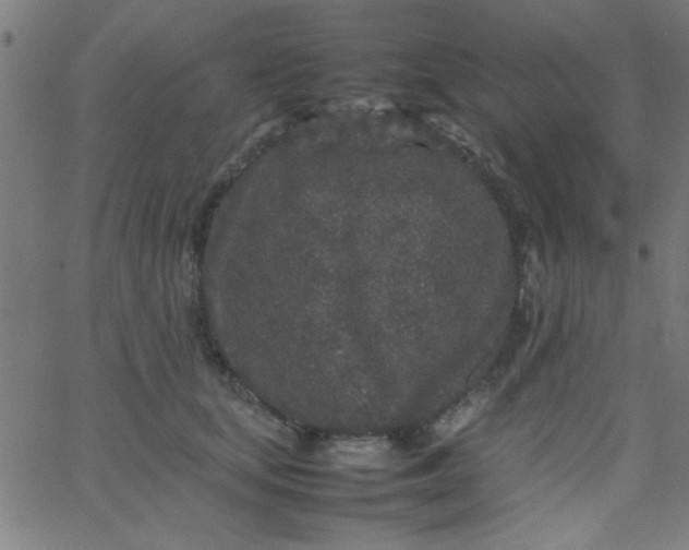 X0000067910659200604271919