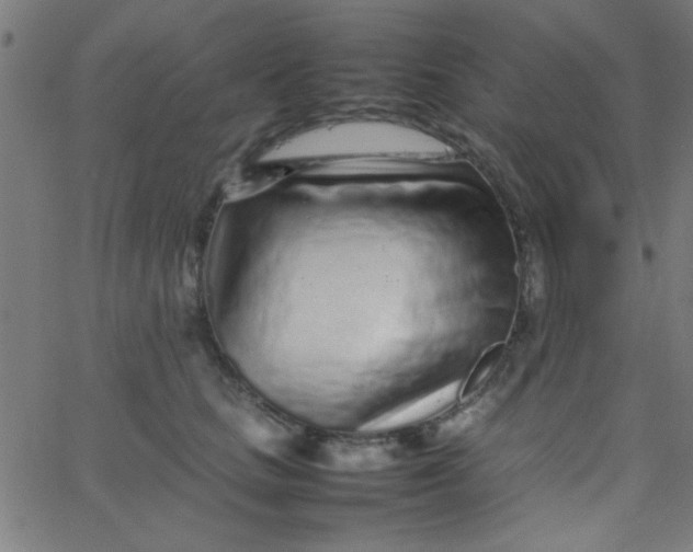 X0000067910661200604271919