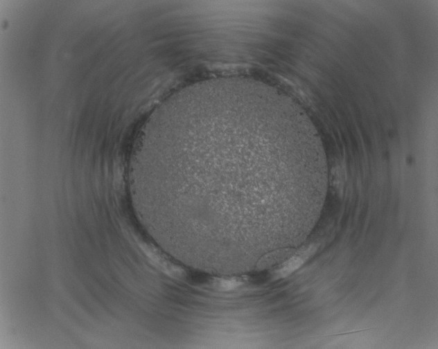 X0000067910662200604271919