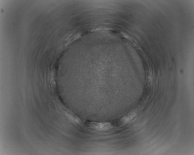 X0000067910663200604271919