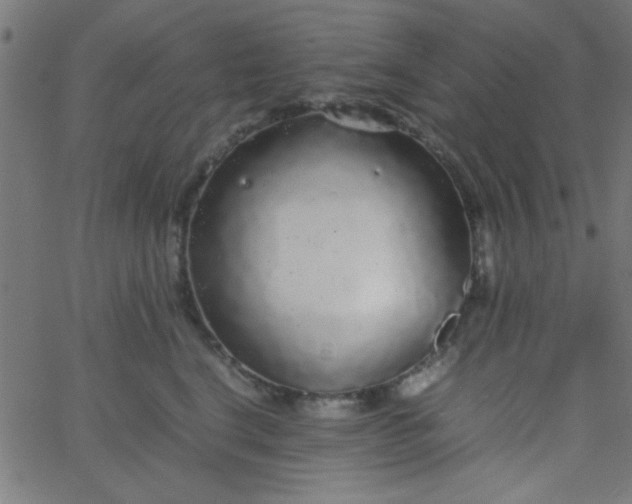 X0000067910664200604271919