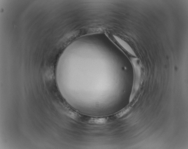 X0000067910665200604271919