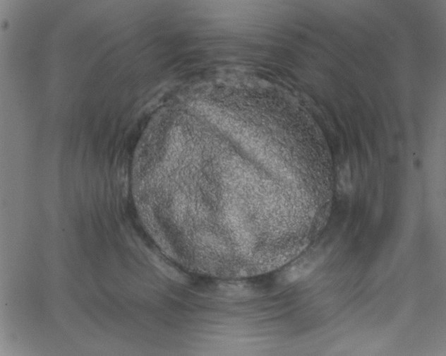 X0000067910666200604271919