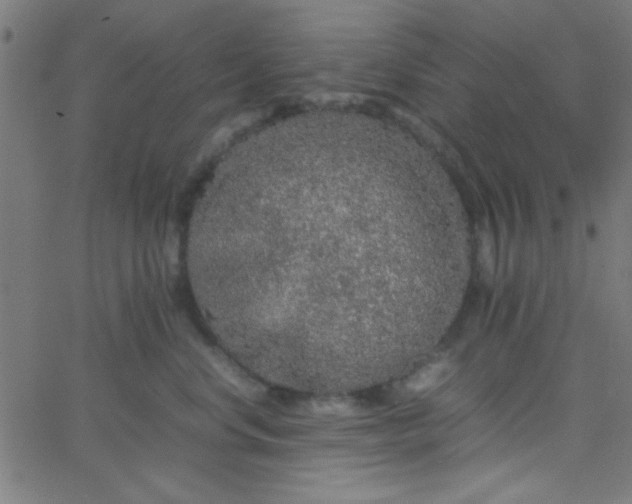 X0000067910668200604271919