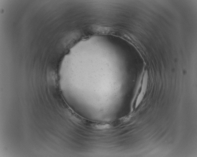 X0000067910669200604271919