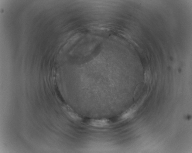 X0000067910671200604271919