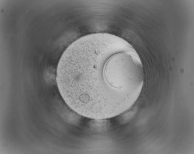 X0000067910672200604271919