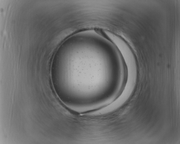 X0000067910673200604271918