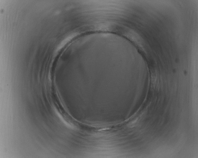 X0000067910674200604271918