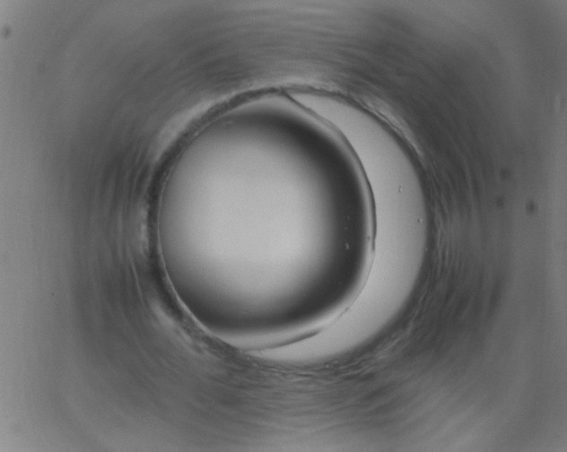 X0000067910676200604271918