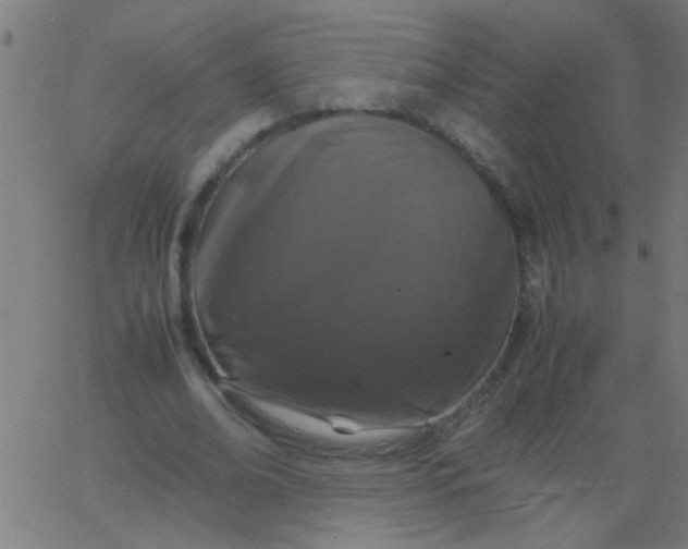 X0000067910678200604271918