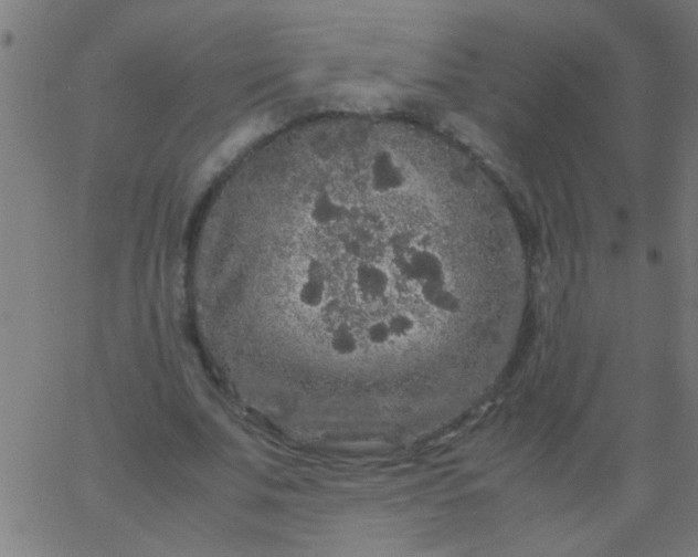 X0000067910679200604271918