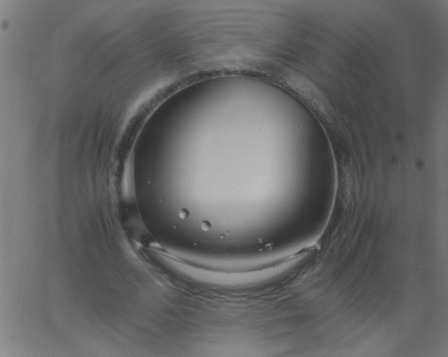 X0000067910680200604271918