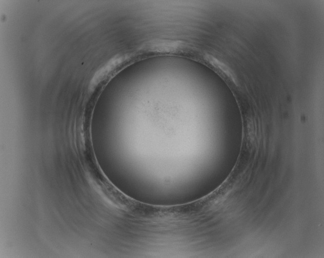 X0000067910682200604271918