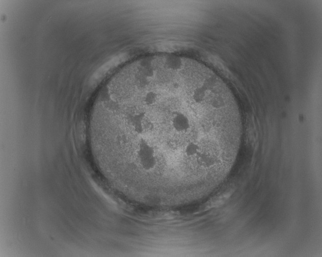 X0000067910683200604271918